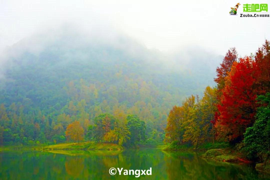 过年了爱车也要干干净净,过年了你的爱车洗干净了吗