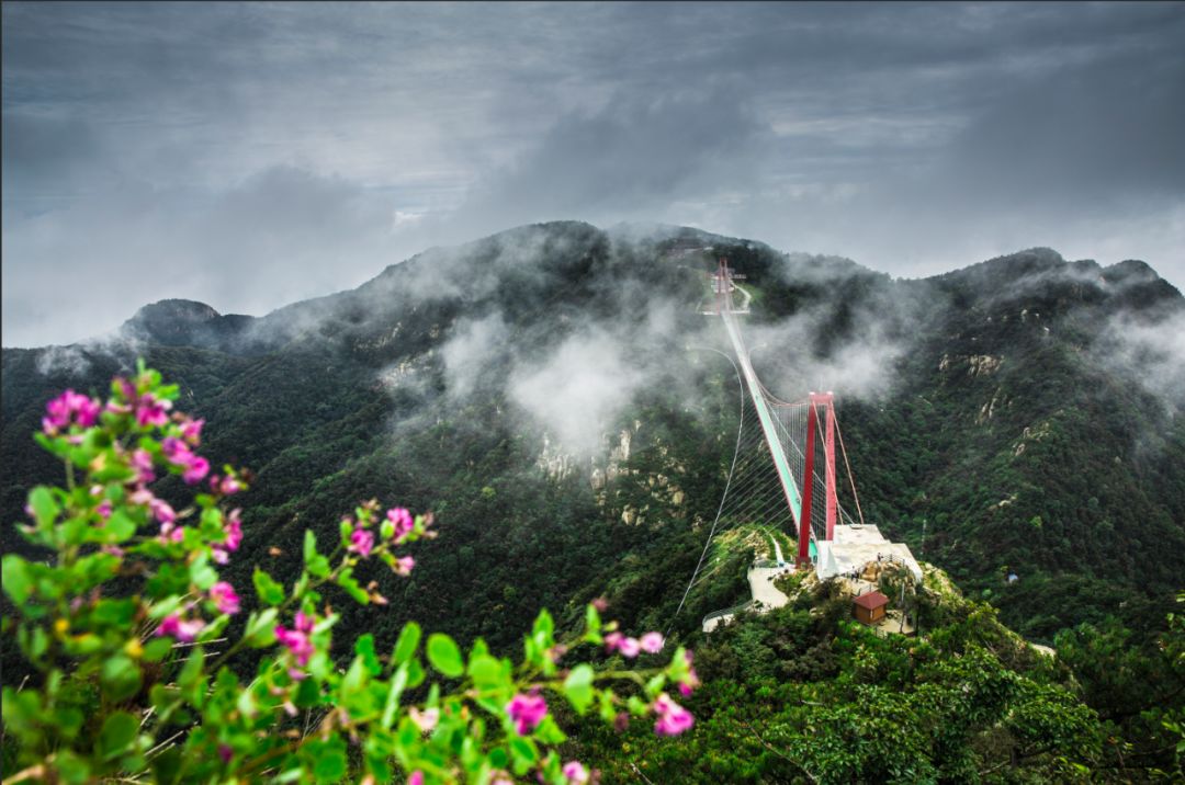 天蒙山踏青赏花,蒙山景区赏花