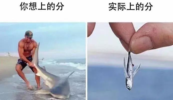 不要再花钱了十个免费学习网站,免费学习中小学课程的网站