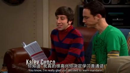 中文不能翻译成英文,中文翻译chinese