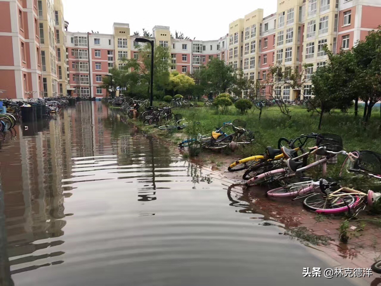 天海足球俱乐部近况,天海足球俱乐部最新状况