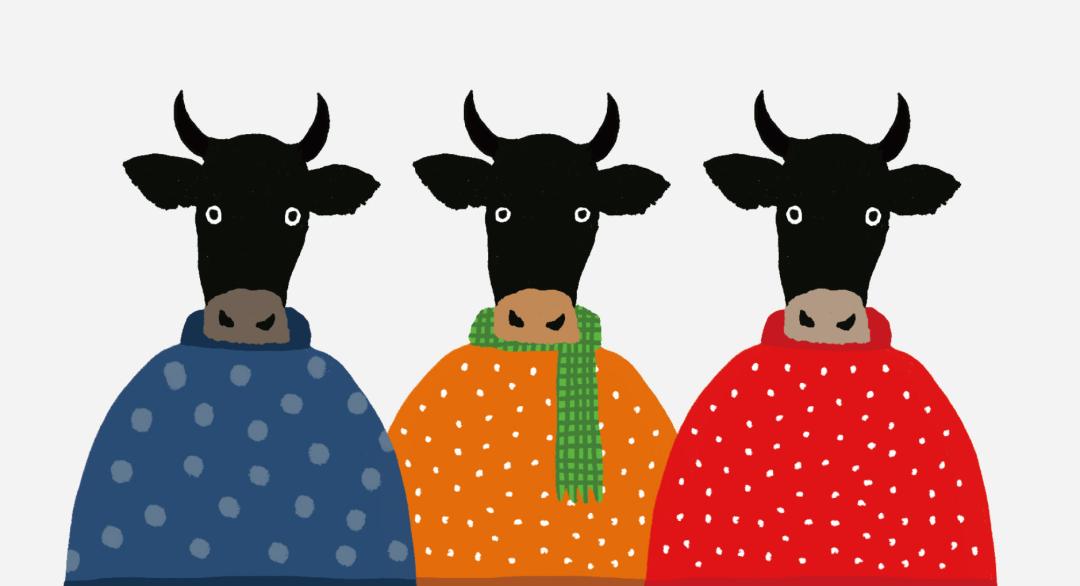 零创｜超牛超可爱！牛年贺卡祝你春节爽爽、牛x闪闪