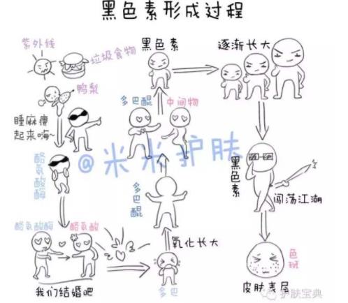 美白小科普美白的产品应该怎么选,最有效的美白精华有哪些成分