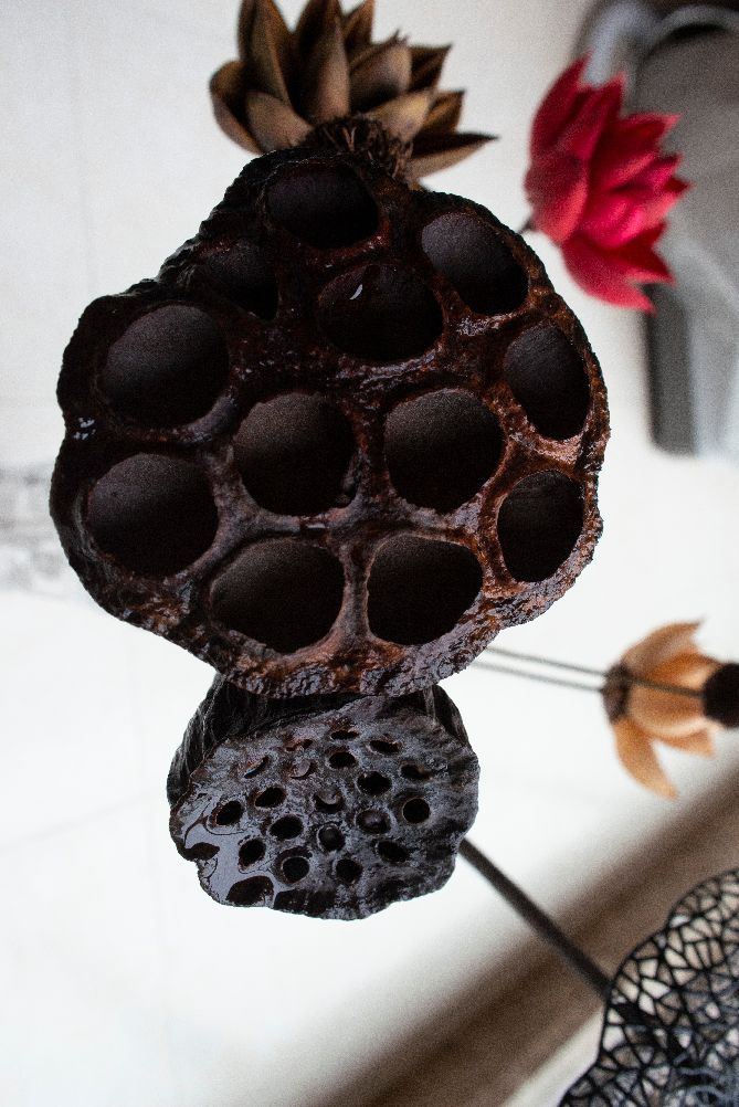 尼康ais300mmf4定焦镜头,尼康ais35mmf1.4定焦镜头