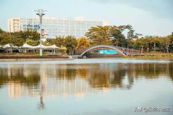 深圳免费的景点有哪些地方,深圳有哪些免费又好玩的地方景点