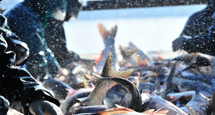 消毒剂怎么选才有效,消毒剂最好选择什么