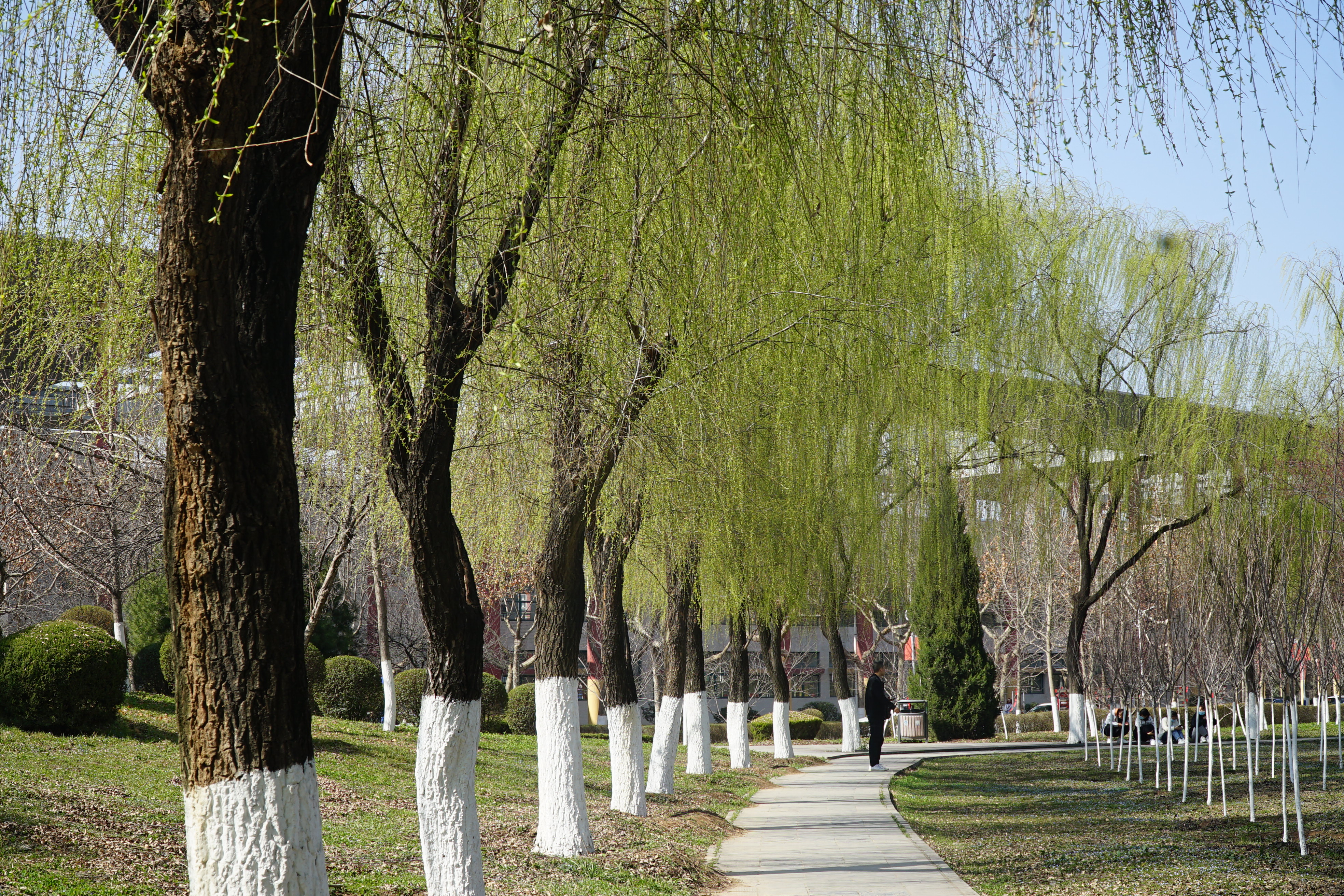 专科类最好的师范院校,低分就业最好的师范大学