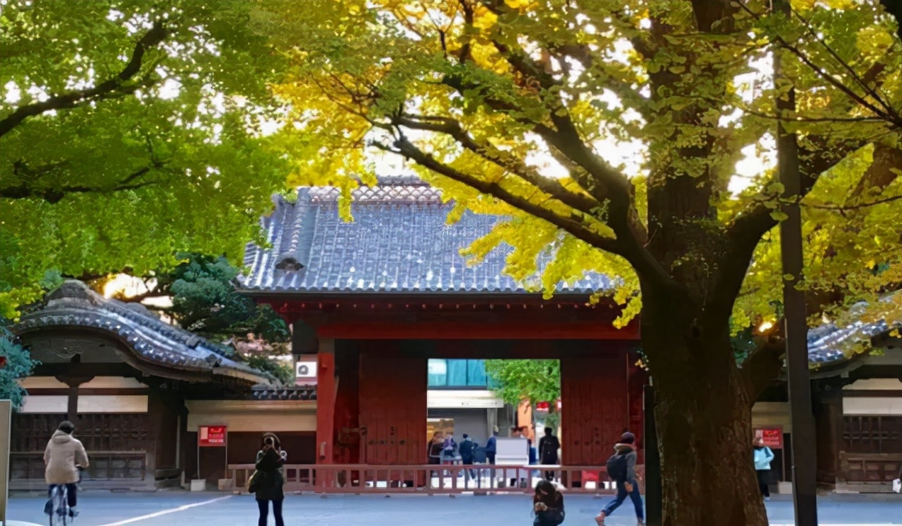 日本留学申请限制的专业,日本留学选专业要注意的误区