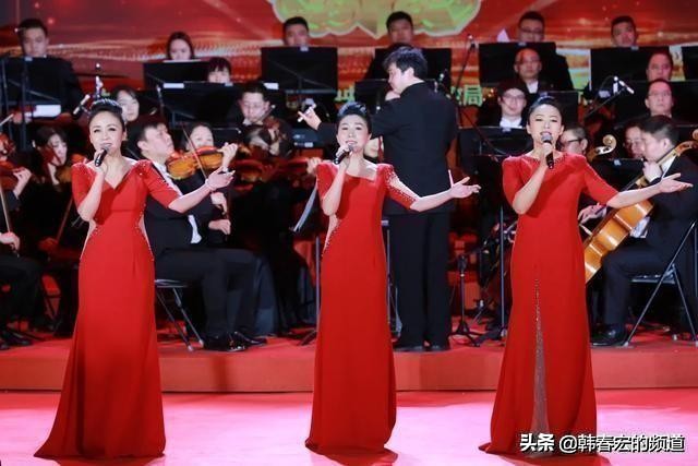 黑鸭子热血颂合唱,黑鸭子誓言无声简谱