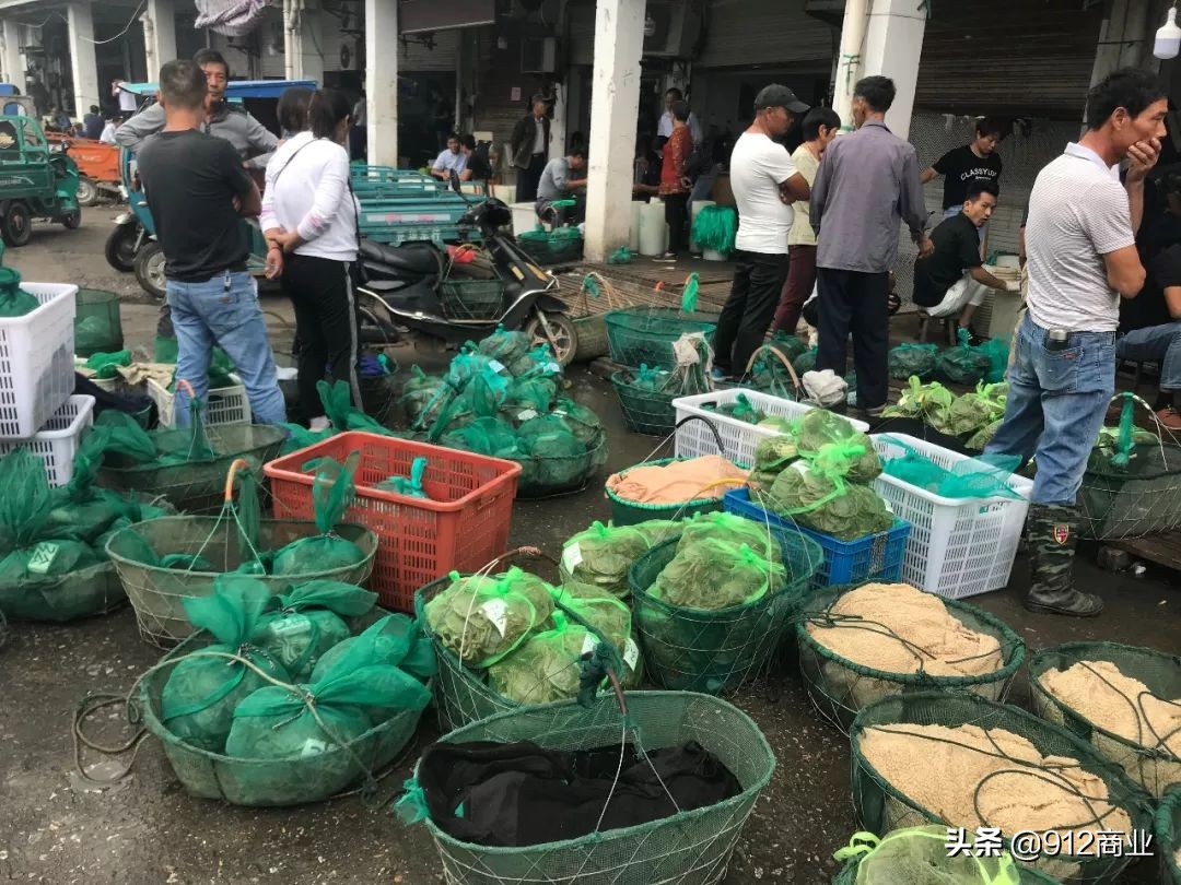 南京本地人冷知识,南京哪个区域是核心区