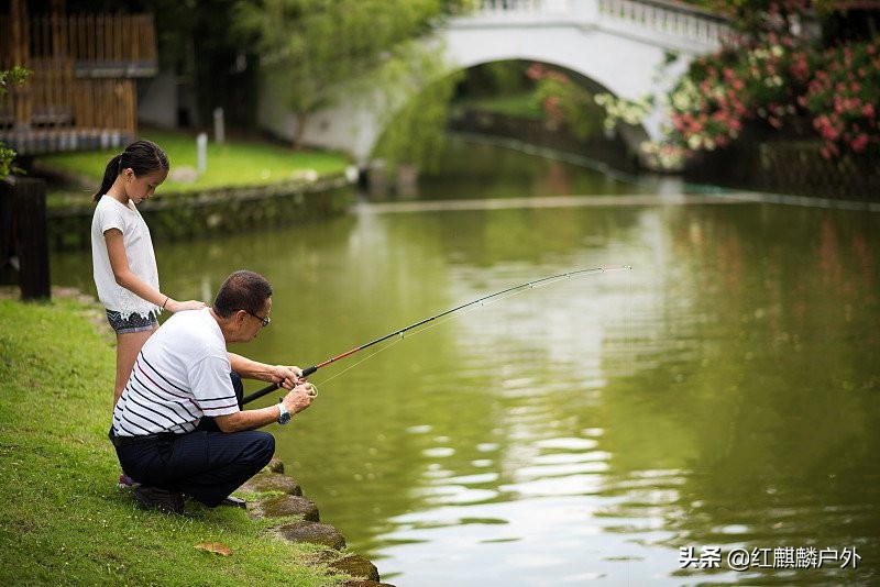 夏季钓鱼不再空军的四个技巧,秋天钓鱼怎么不空军