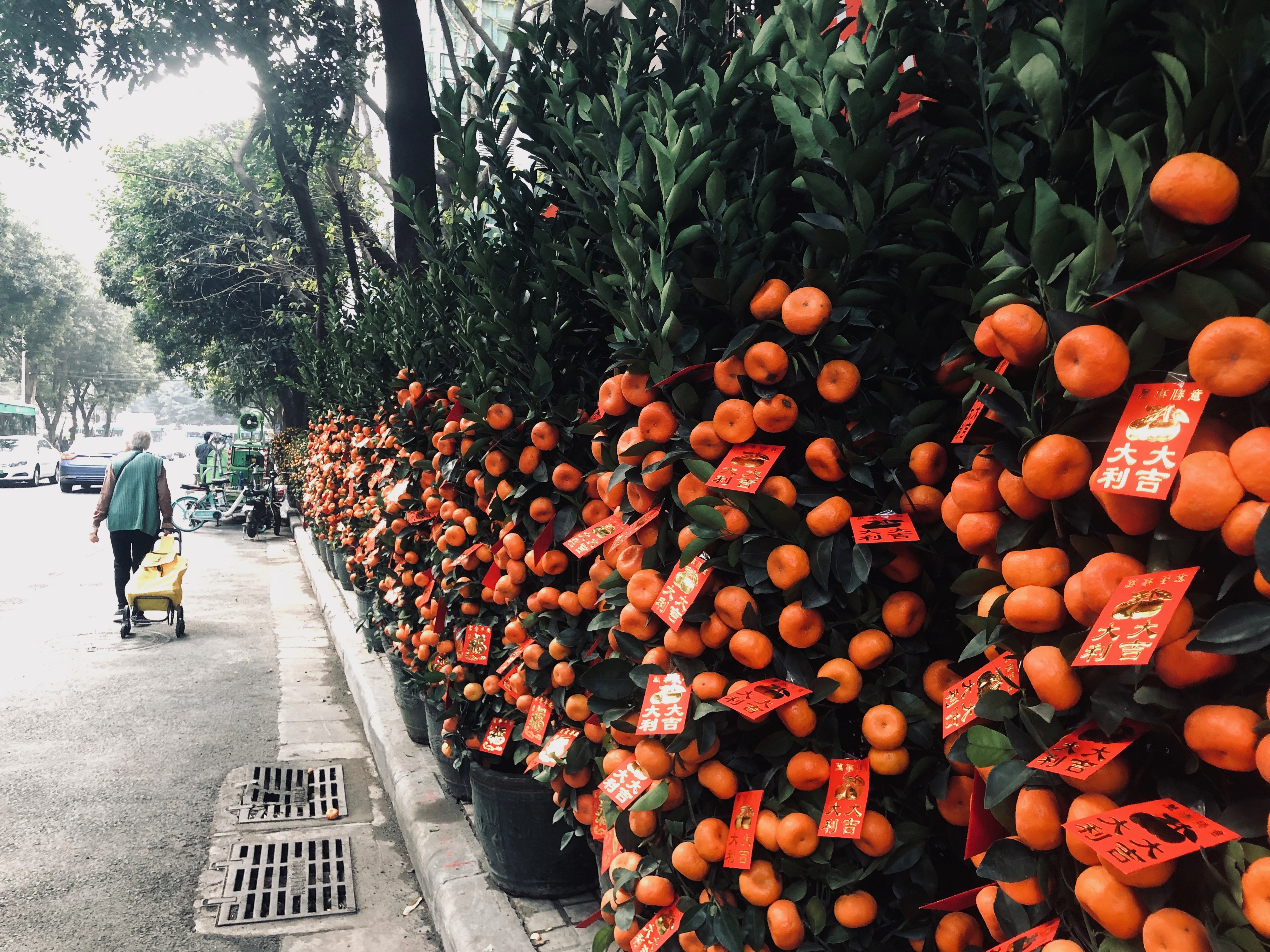 我们见证了历史,我们躺在沙发上