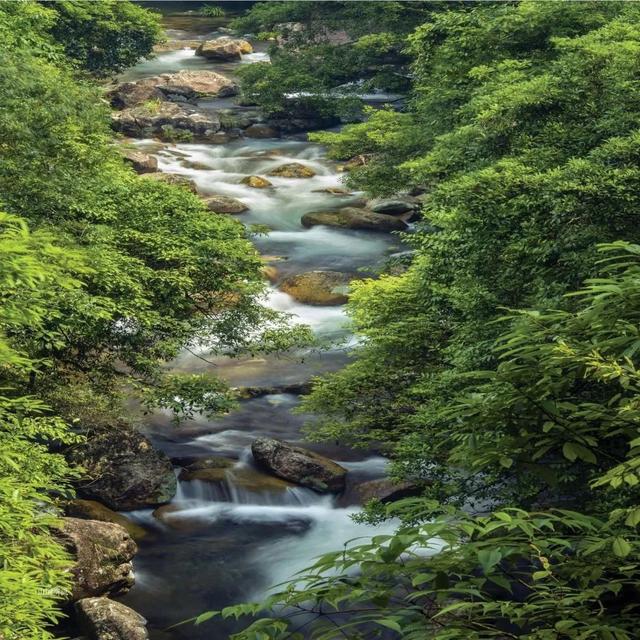 清新优雅空气新鲜是休闲的好地方,龙岩静心的地方