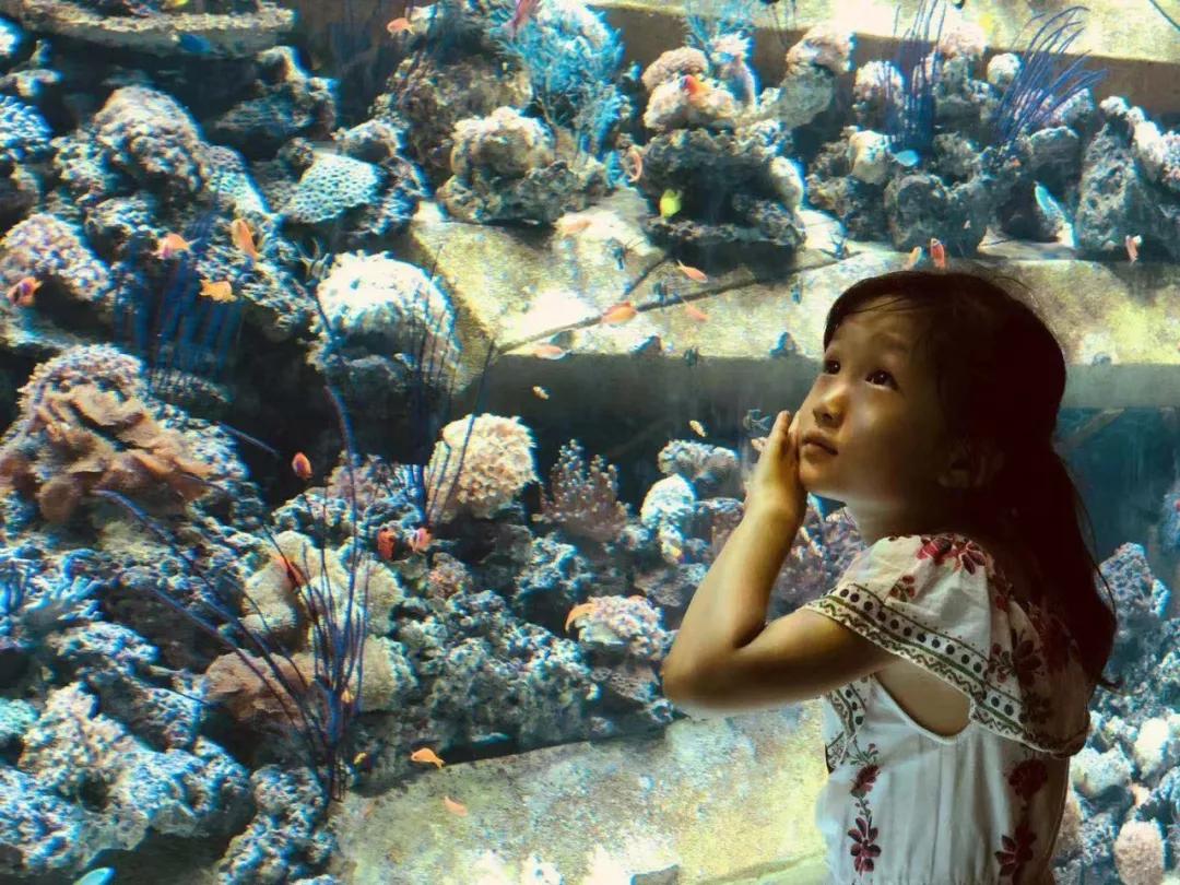 带娃去三亚旅游攻略住宿推荐,带娃去三亚攻略路线推荐一下