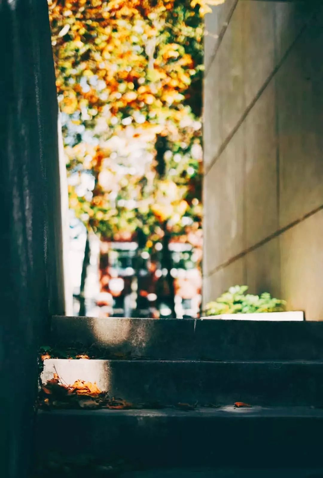 中国民航大学地位,中国民航大学很牛吗现在还有吗