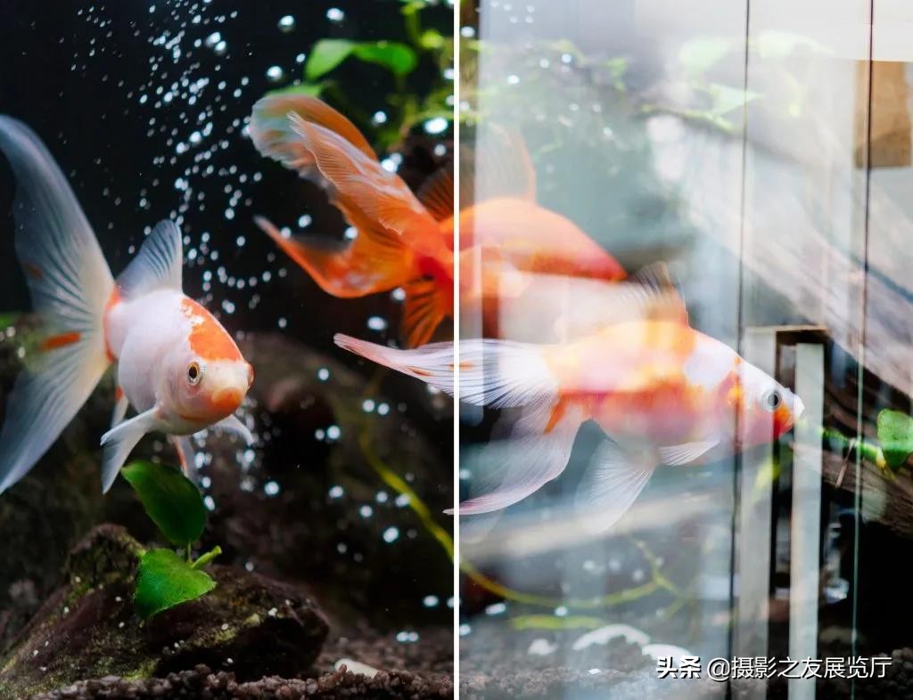 拍夜景如何消除玻璃反光,透过玻璃拍照反光如何解决