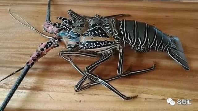 世界顶级海鲜你认识几种类型,世界顶级海鲜