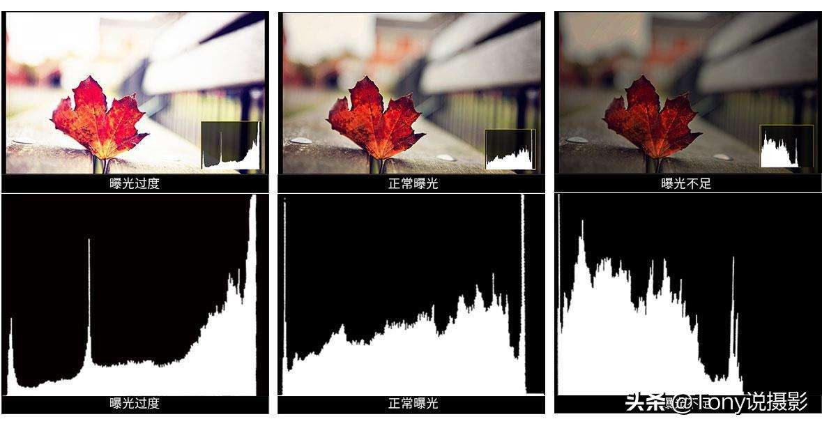 系统学摄影入门视频教程,摄影教程测光与曝光