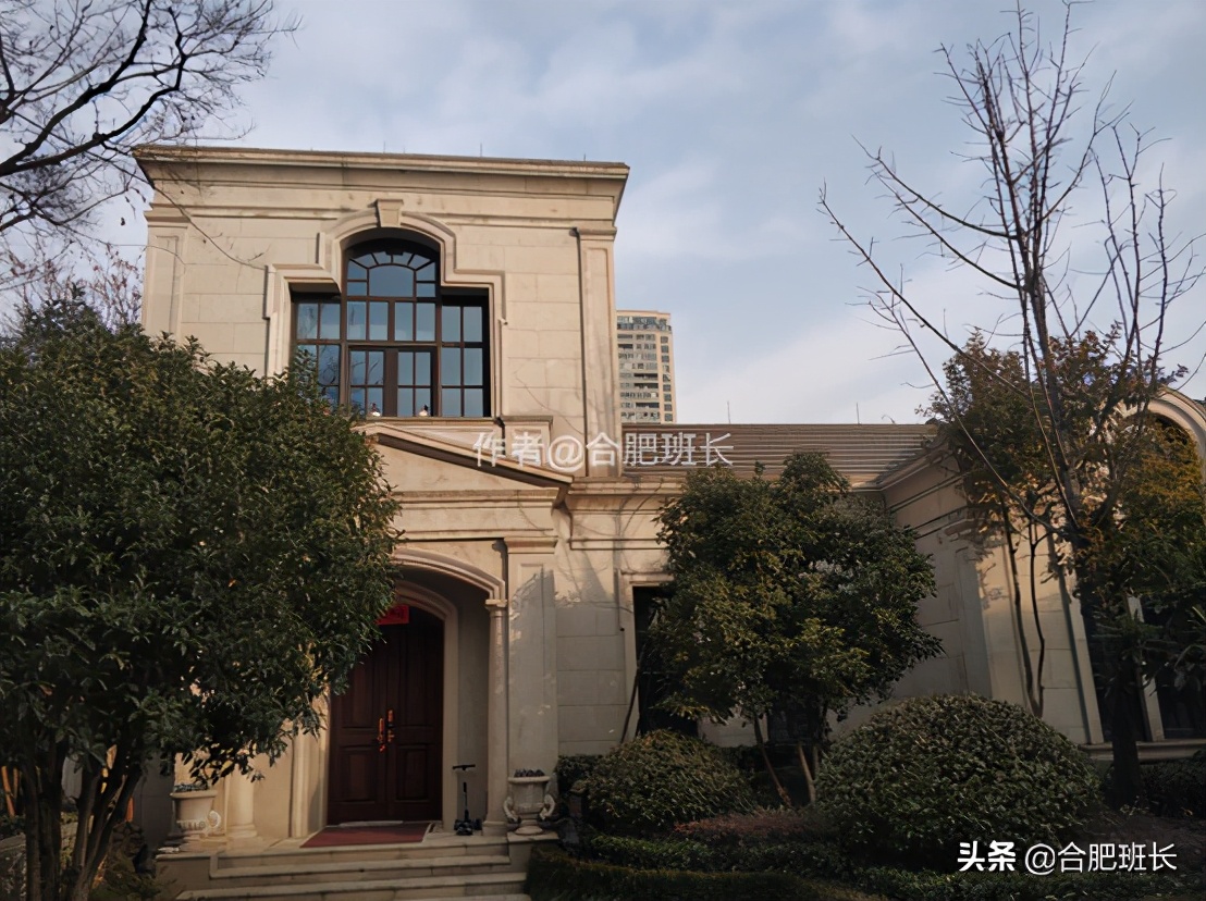 可以传世的房子格局,合肥汤臣一品海景房