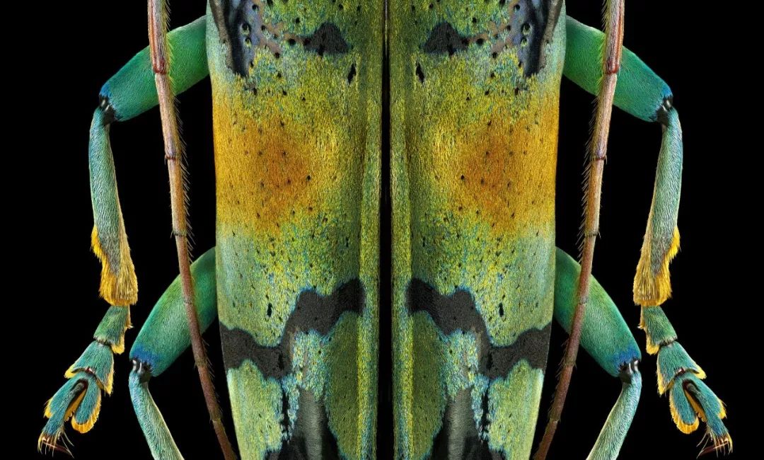 2亿像素和4800万像素的画质哪个好,像素高就一定好吗