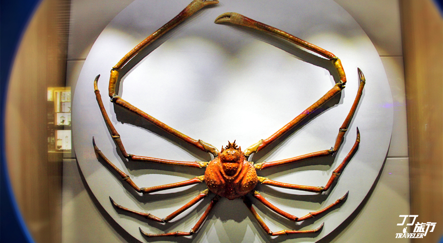 青岛最大的海洋世界在哪里呀,山中有海海上有门是谁写的