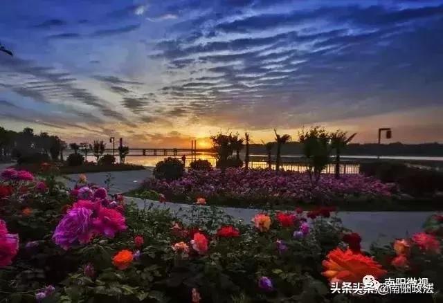 南阳春天踏青,南阳有哪些适合春游的地方