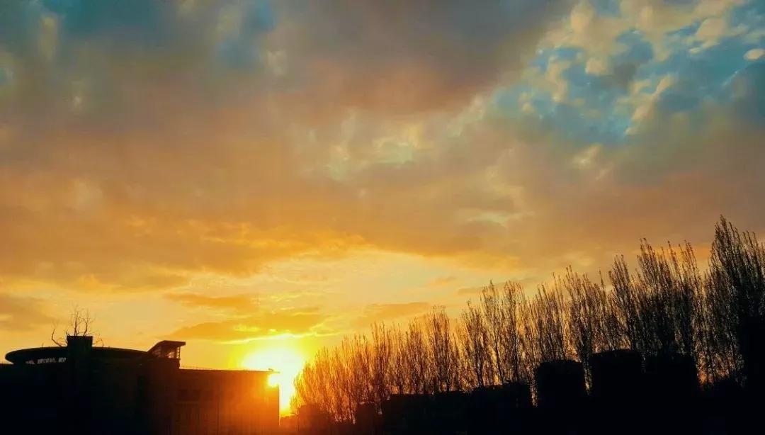 沈阳理工大学辽宁工程技术大学,沈阳理工大学专科院校