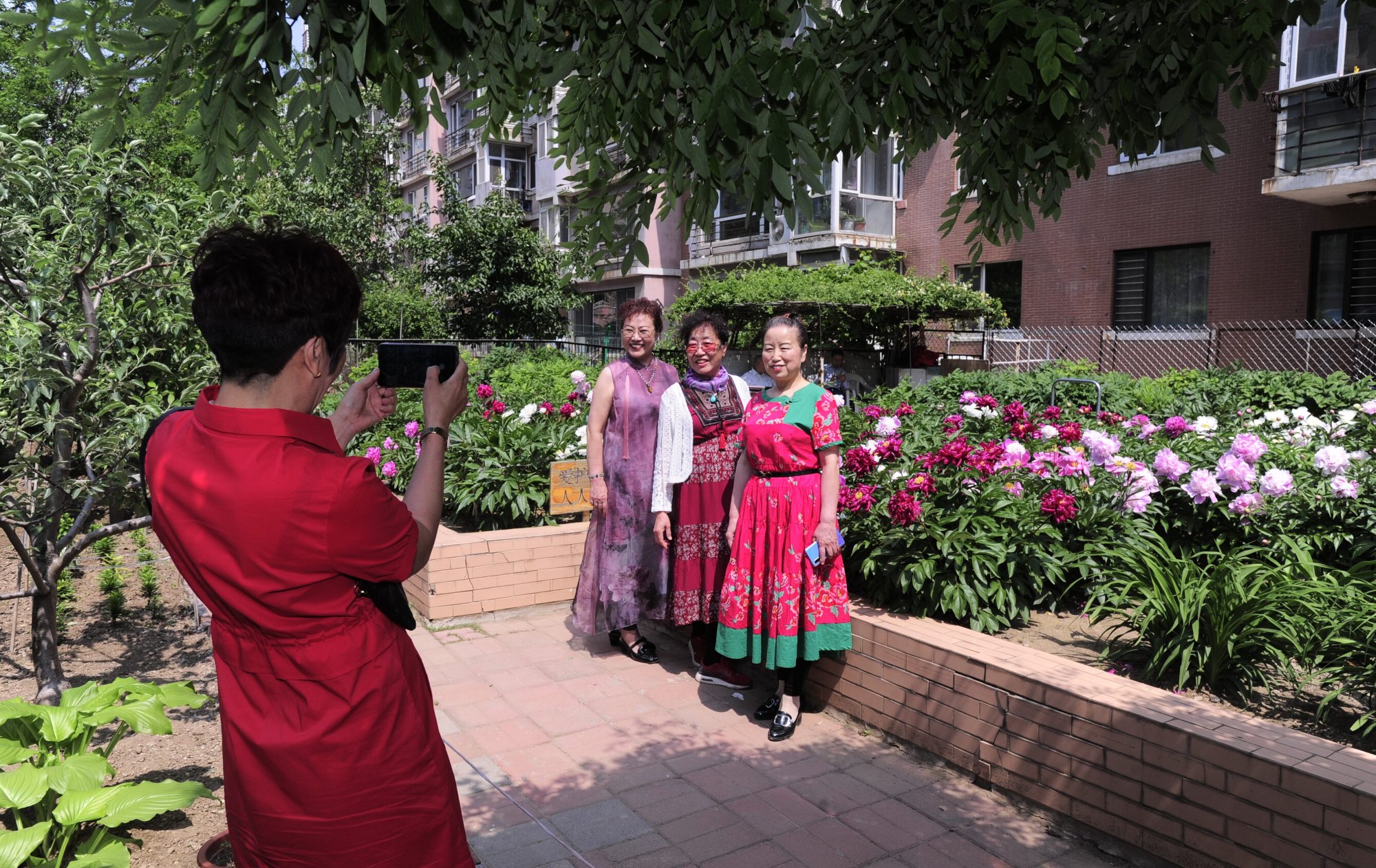 沈阳90岁老人自费建花园如今繁花似锦