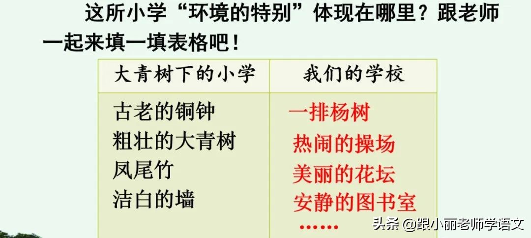 大青树下的小学重要背诵内容,大青树下的小学必会知识点