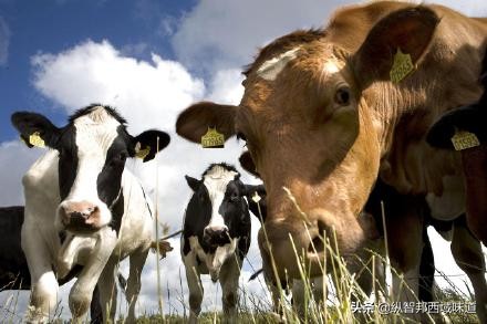 *疆新**建设兵团，军垦产品为什么受大众青睐？