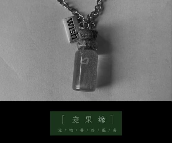 宠物死亡后怎么调节心理,宠物离世安抚措施有哪些