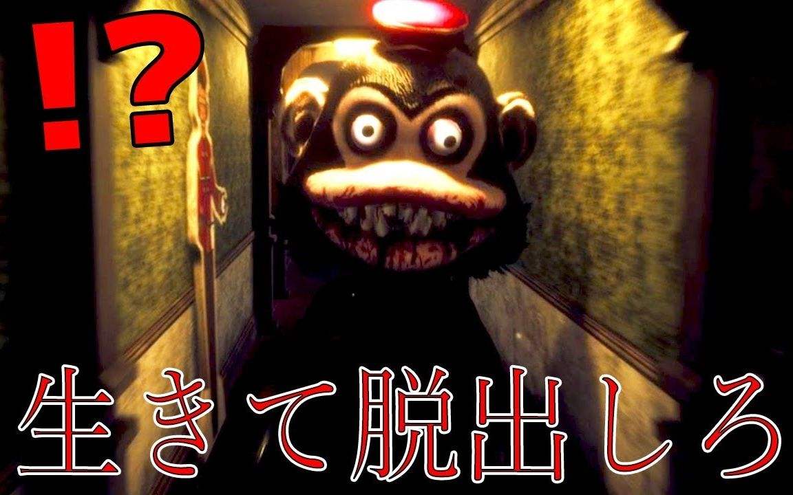 10000块钱买宠物,石猴能当宠物养吗