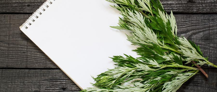 端午的艾叶可以留着别扔,用来洗头,消毒又止痒