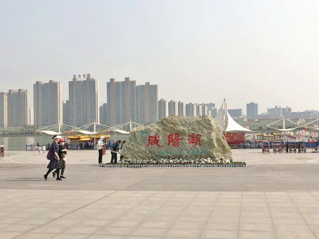 咸阳统一广场郁金香,咸阳郁金香花展在哪里