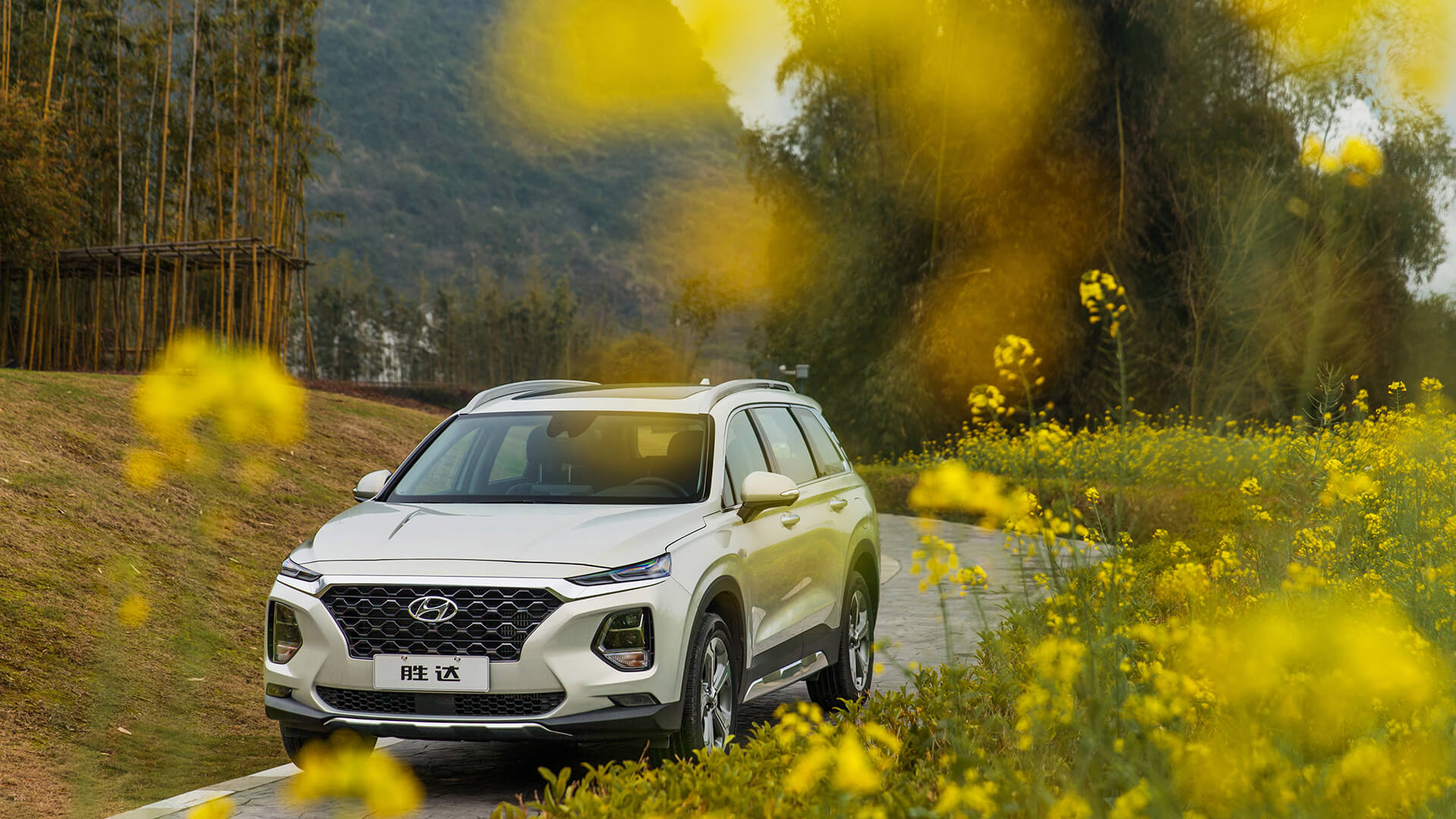 北京切尔西青训营,北京足球小将训练营报名