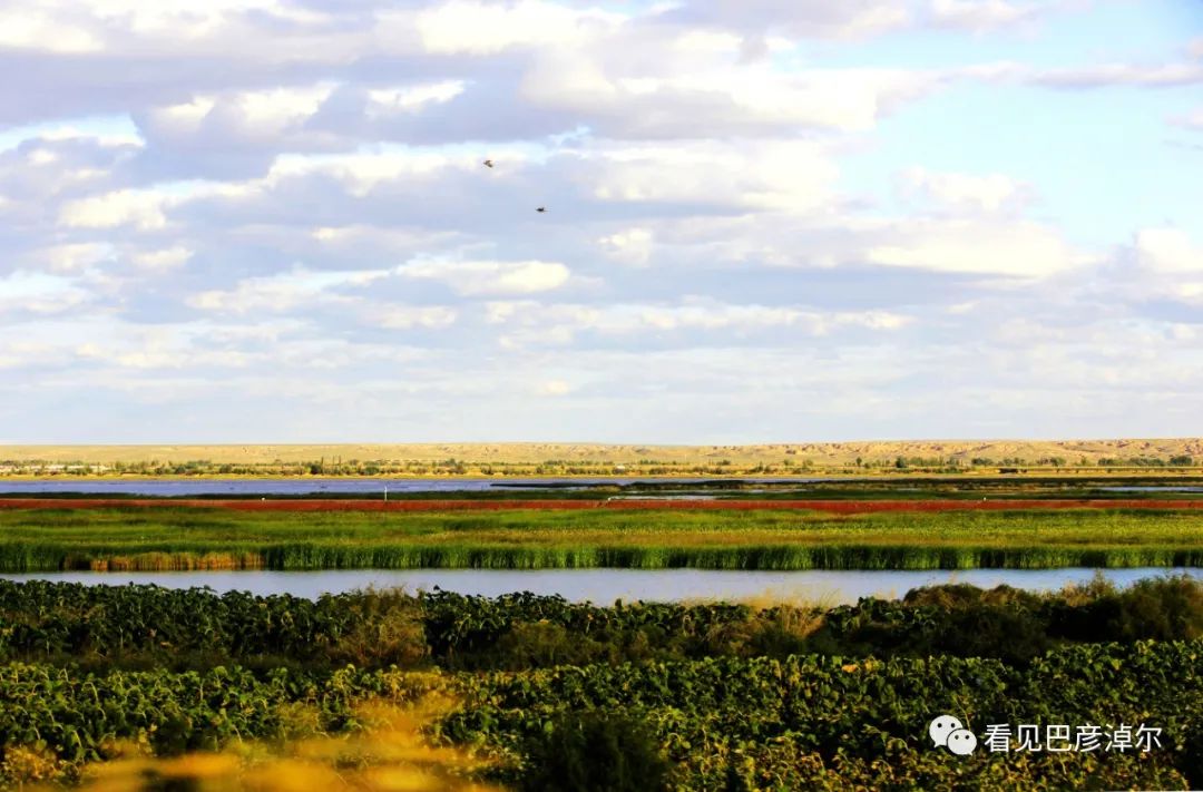来认识一个不一样的我翻译,来认识不一样的滑雪