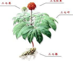 防治腱鞘炎最好的动作,预防腱鞘炎的关键有哪些