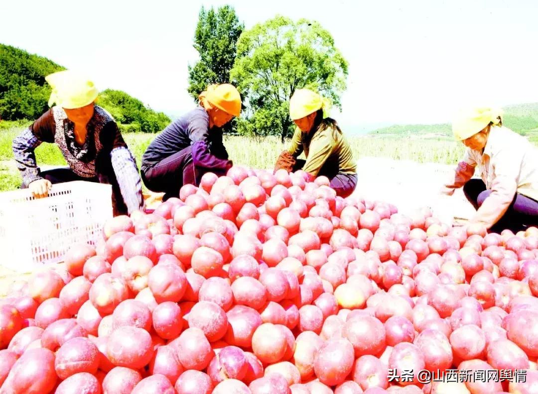 干石山区,干石头行业前景如何