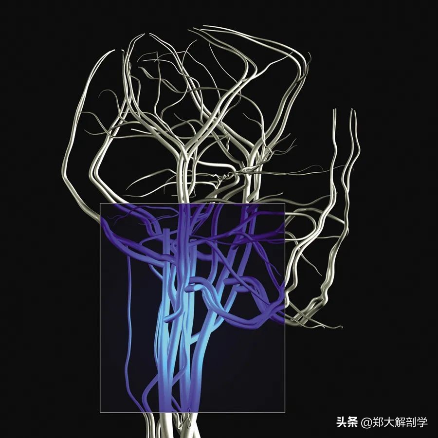 挥鞭综合症治疗,甩鞭综合征