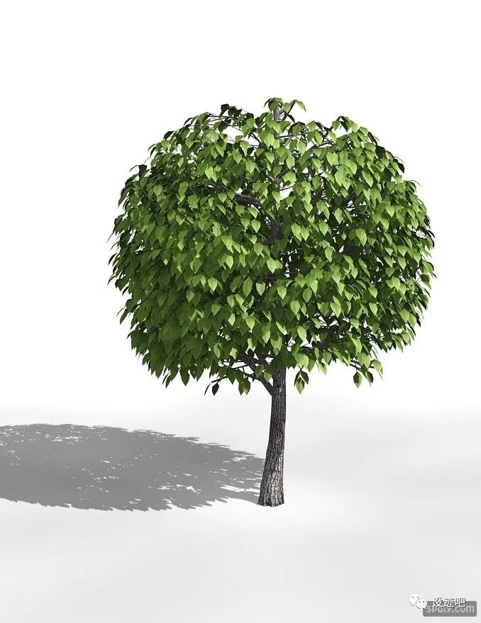 3dmax三个最强的插件,3dmax十个最火插件