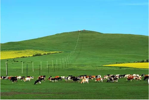 南方丝绸之路途经哪些城市,南方丝绸古道必经之路