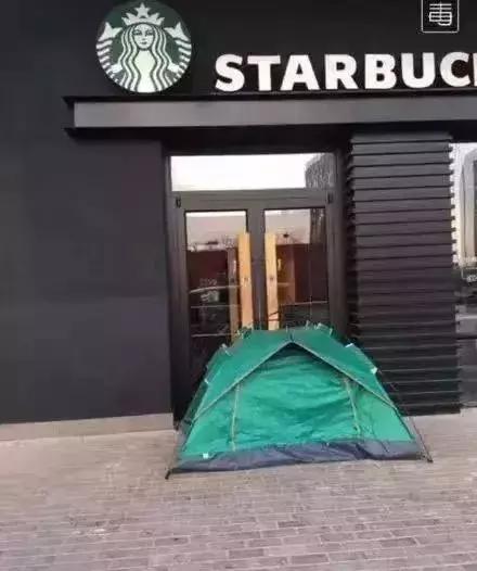 抢星巴克猫咪杯,为了猫爪杯打架