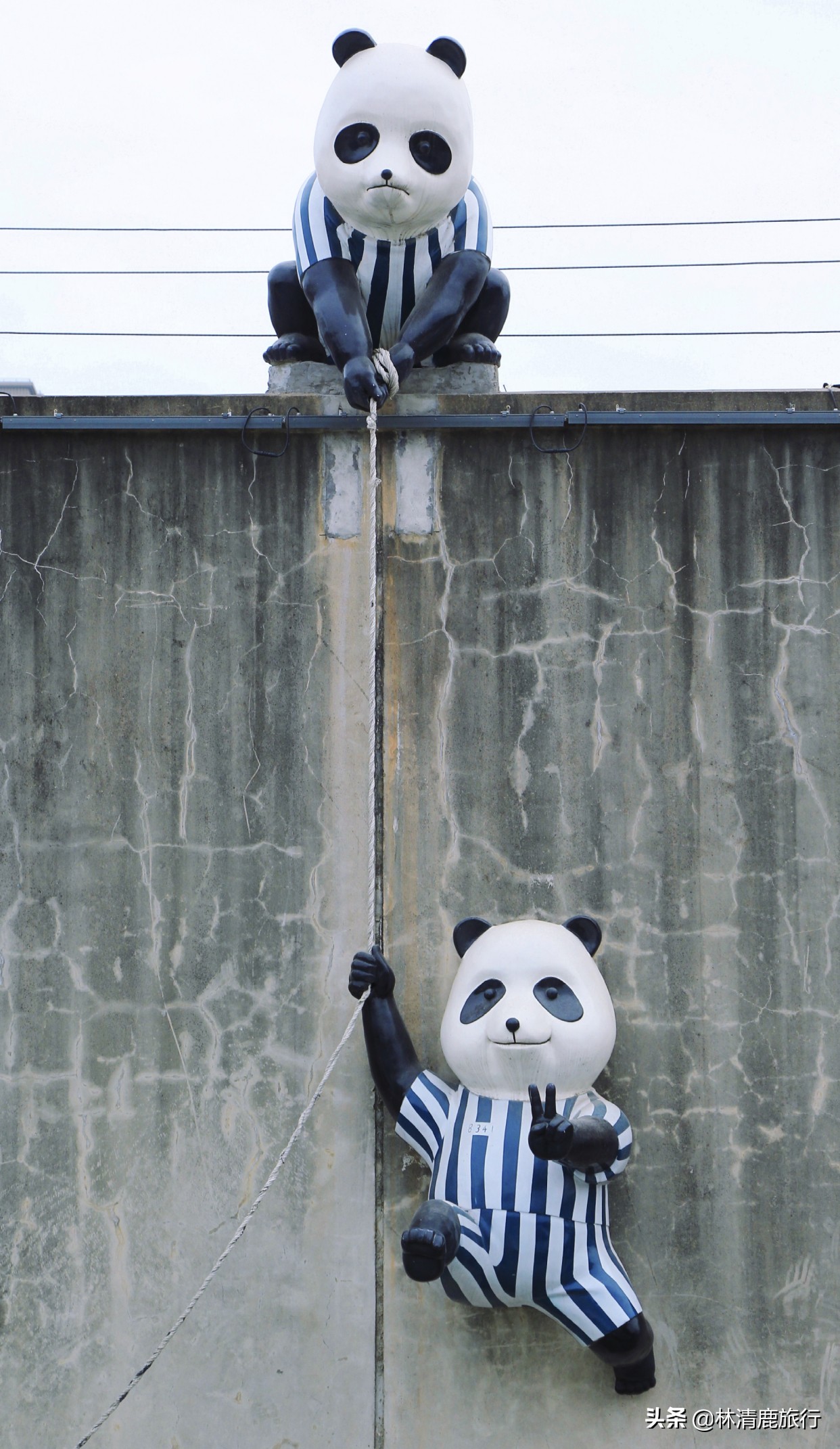 一个监狱的华丽转身：年轻人追捧的网红地，免费的艺术殿堂