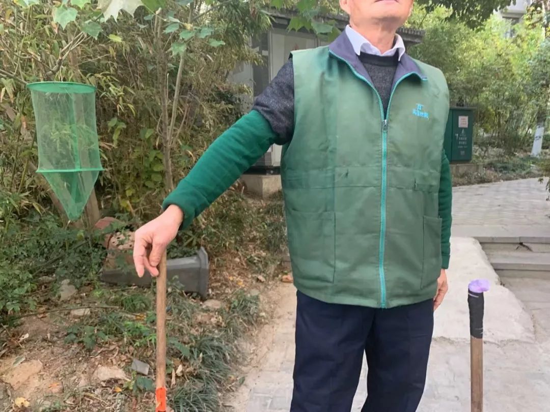 刚刚！我去江北一楼盘实探，惨遭售楼员无情白眼……