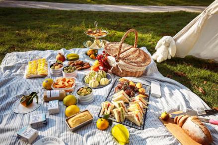 乡野乐趣，香颂大地||左岸芳园让你一键Get法国休闲假日时光