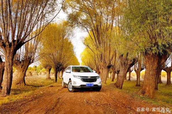 陕西榆林有趣的地名和由来 (陕西榆林有名的地名)