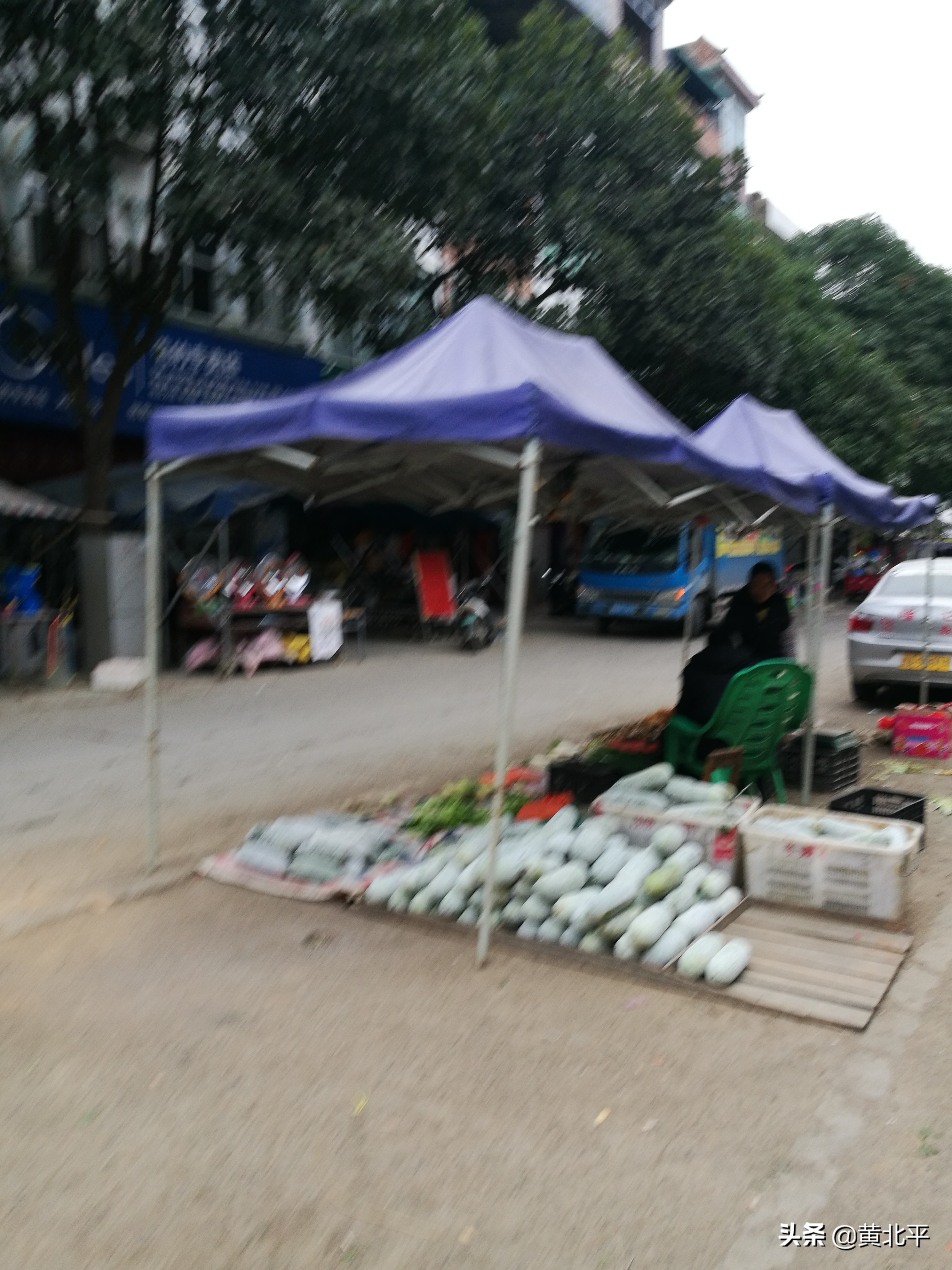 广西南宁市隆安县乔建镇龙扶村,广西南宁市隆安县乔建