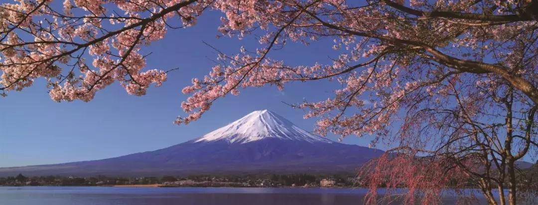 迟子建散文经典语句,迟子建散文人生感悟语句