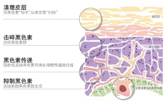 美白大创精华,大创美白精华