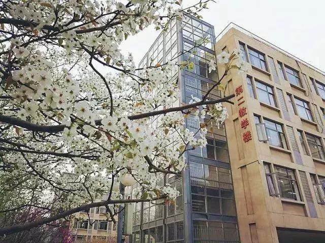 天津最牛的中学是哪个,天津中学排名2020完整版